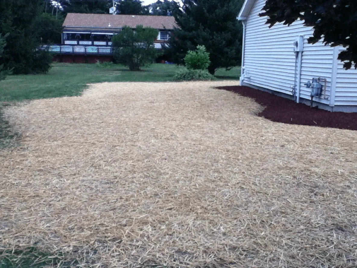 New Lawn Installation with Seed and Straw