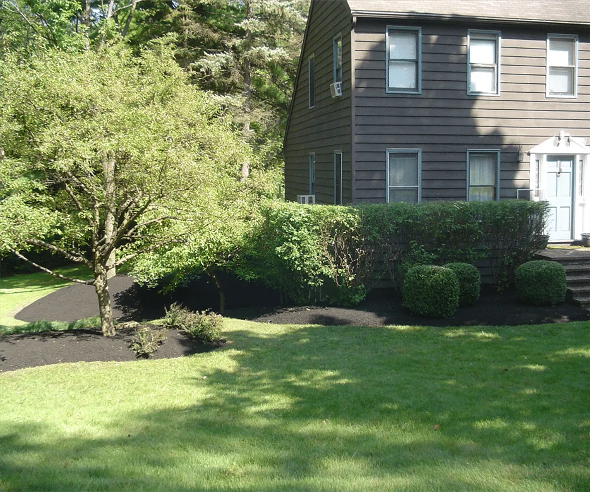 Pruned Trees, Bushes & Hedges