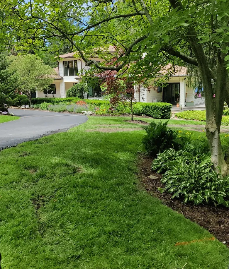 GrassMasters Landscaping professional landscaping services are a cut above the rest.
